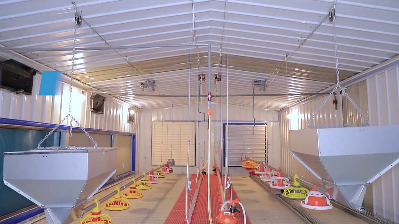 Breeder Chicken Equipment